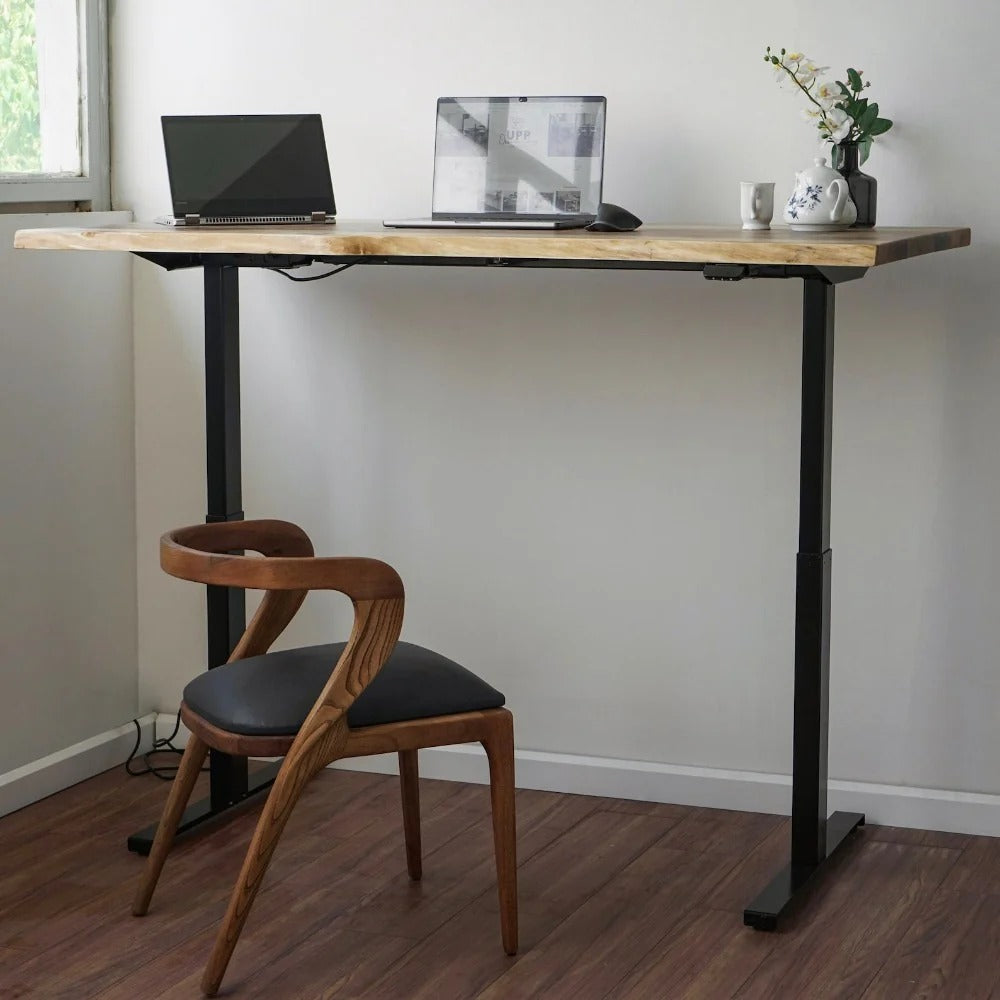 Solid wood live edge height adjustable sit and stand desk
