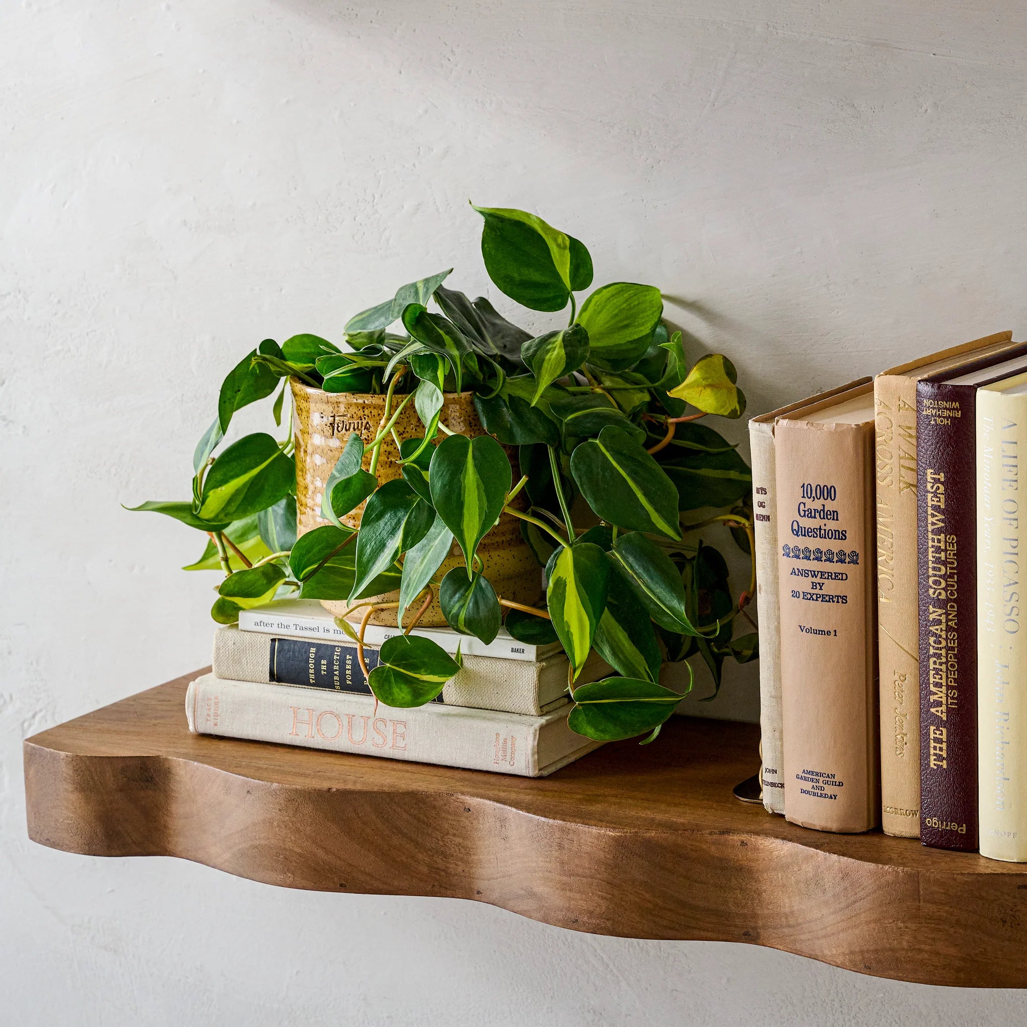 Modern Live Edge Wooden Deep Floating Shelves – Set of 2 | Wood’s Buddy